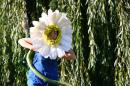 Fleurs des Rues 17 * 4368 x 2912 * (4.93MB)
